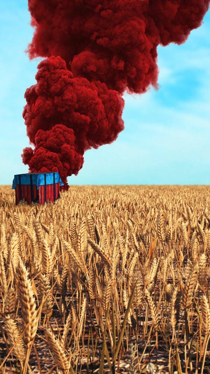 Pin By Hasan Ahmad Shihab On Wallpapers Pubg Wallpapers Hd For