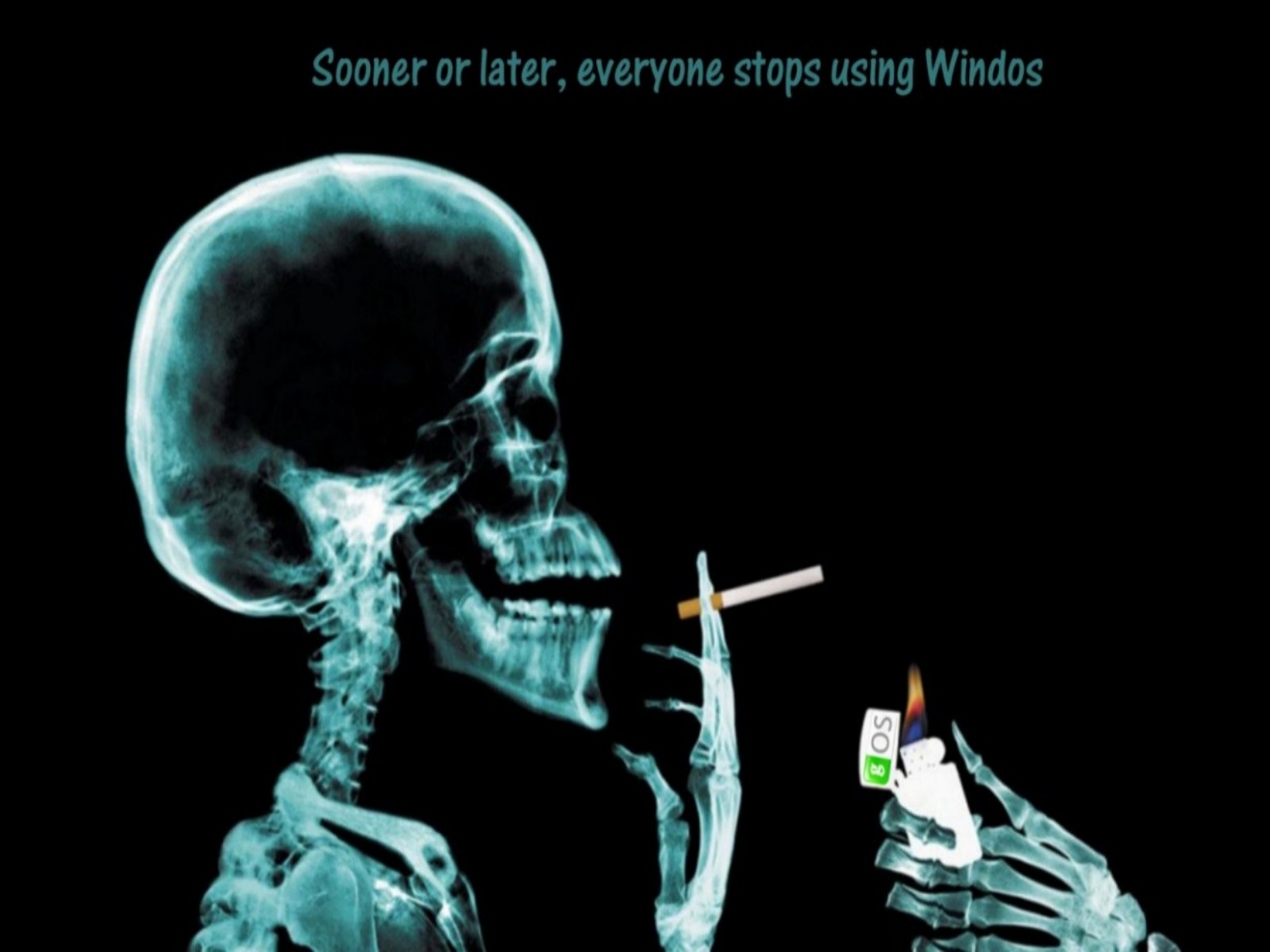 Best Funny Wallpapers Hd - X Ray Smoking , HD Wallpaper & Backgrounds