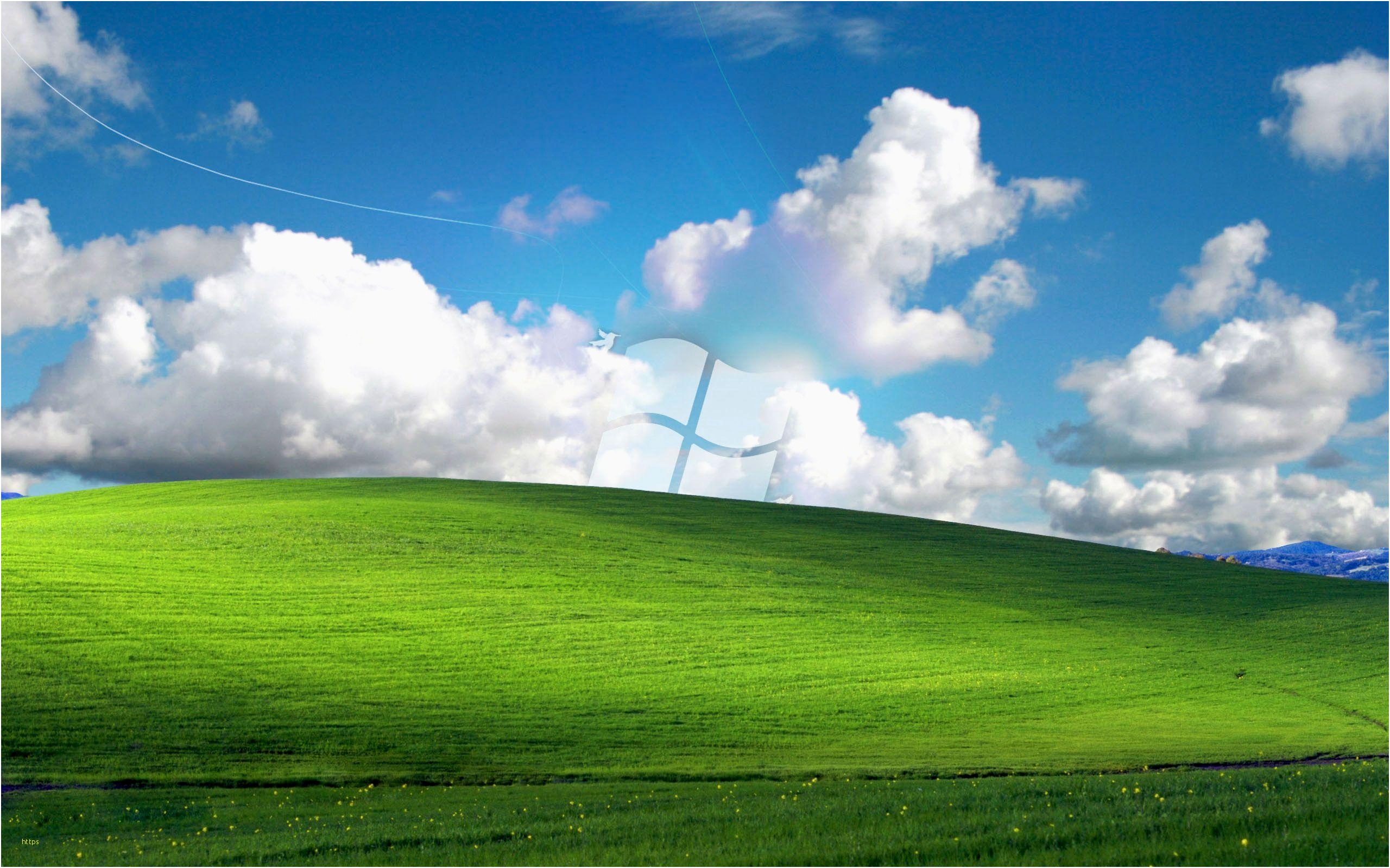 Windows Xp Wallpaper Elegant Windows Xp Wallpapers - Los Carneros Windows Xp , HD Wallpaper & Backgrounds