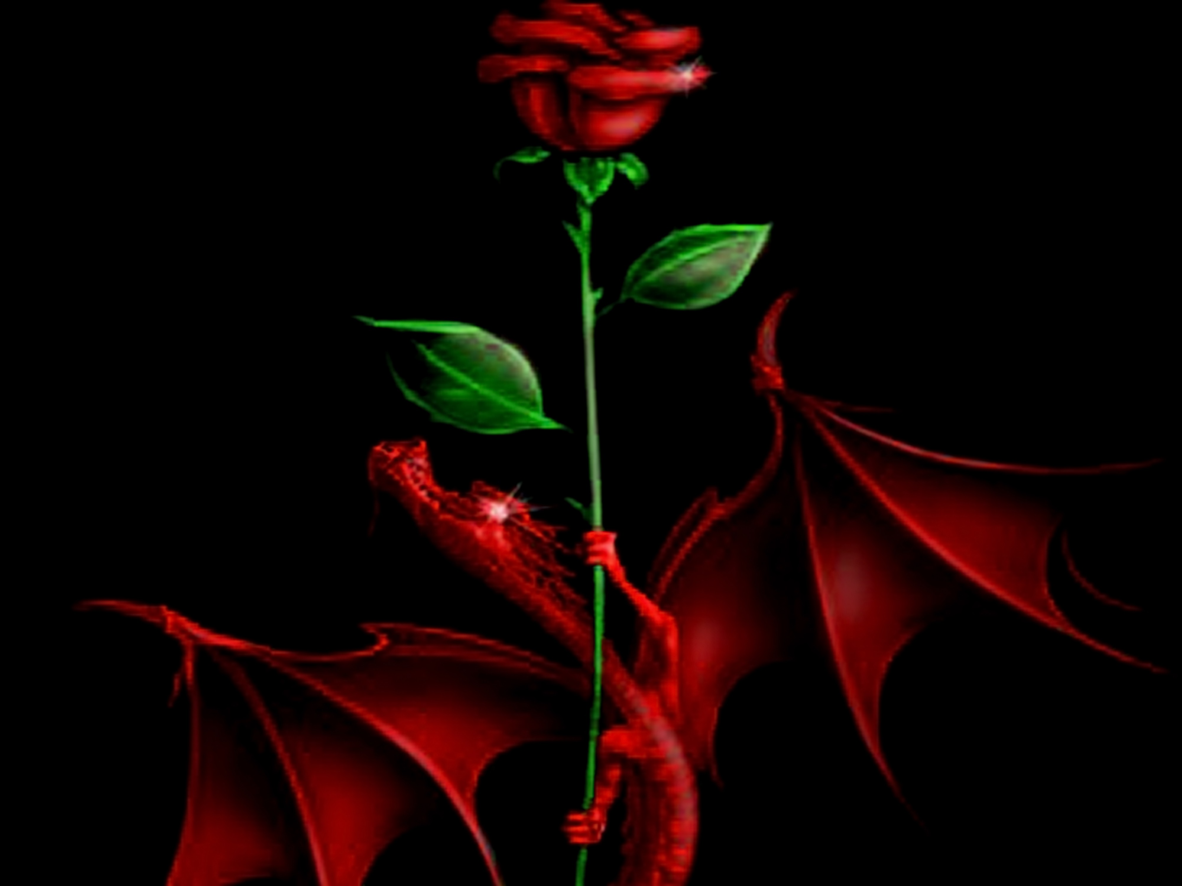 Rose And Dragon Wallpaper - Hybrid Tea Rose , HD Wallpaper & Backgrounds