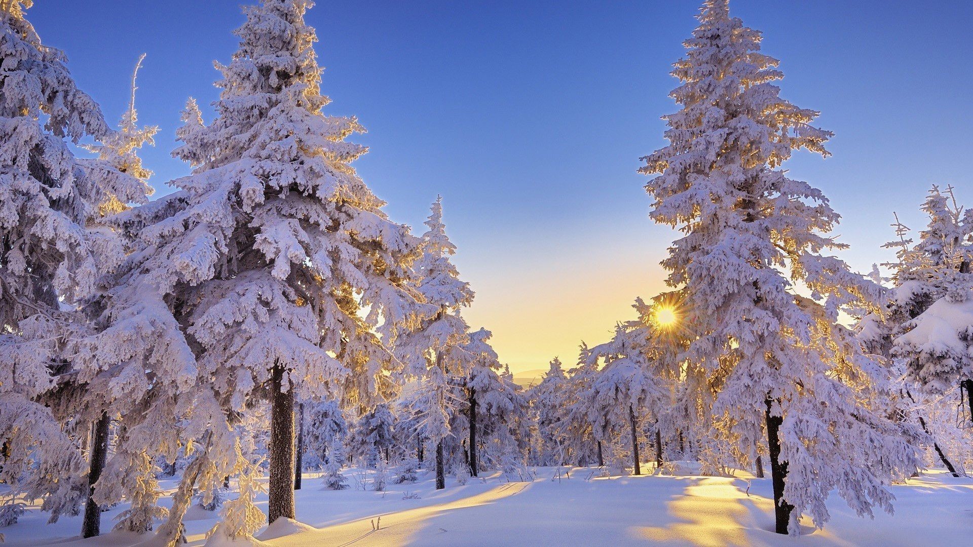 Winter Wonderland Desktop Background , HD Wallpaper & Backgrounds