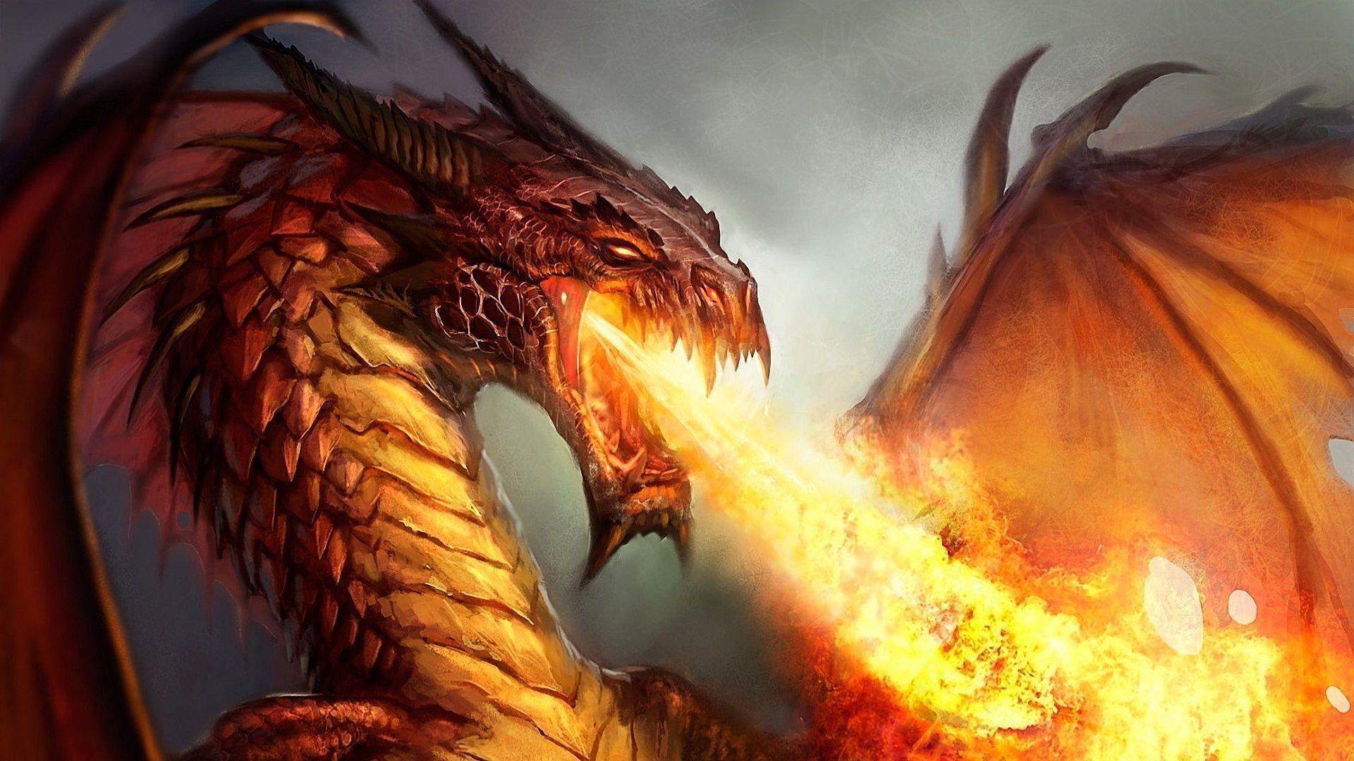 Fire Dragon Wallpaper - Dragon Wallpaper Fire , HD Wallpaper & Backgrounds