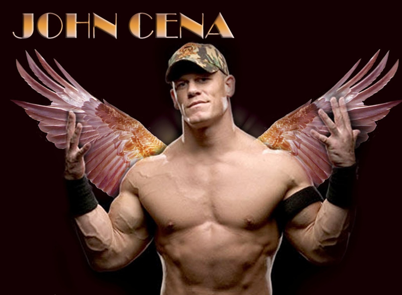 John Cena Wallpapers Free Download - John Cena World Heavyweight Champion 2013 , HD Wallpaper & Backgrounds