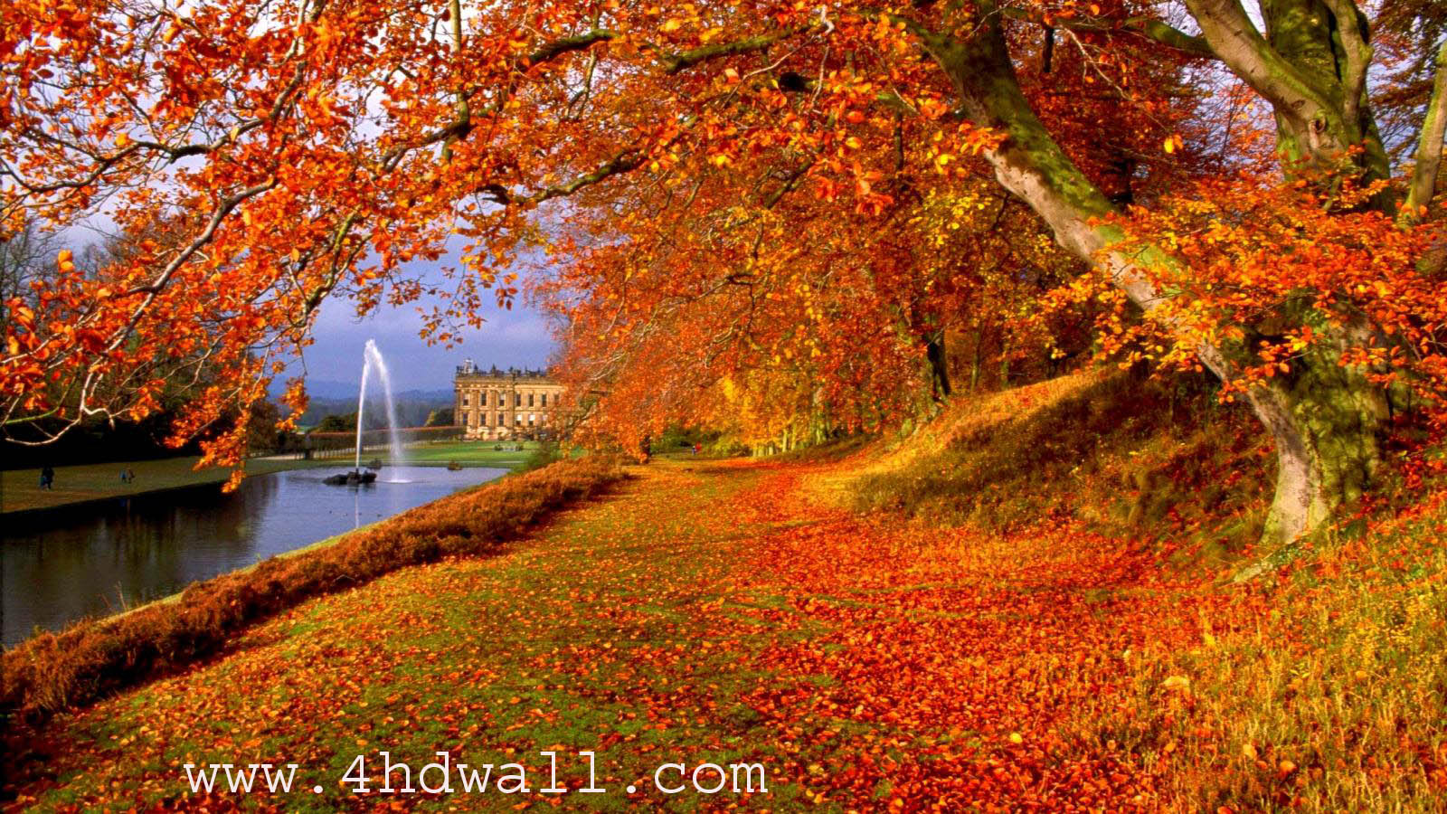 Fall - Autumn Hd 1600 X 900 , HD Wallpaper & Backgrounds