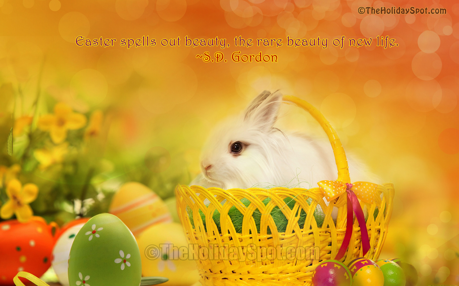 Easter Bunny In Basket Wallpaper - Husvéti Képek Facebookra , HD Wallpaper & Backgrounds