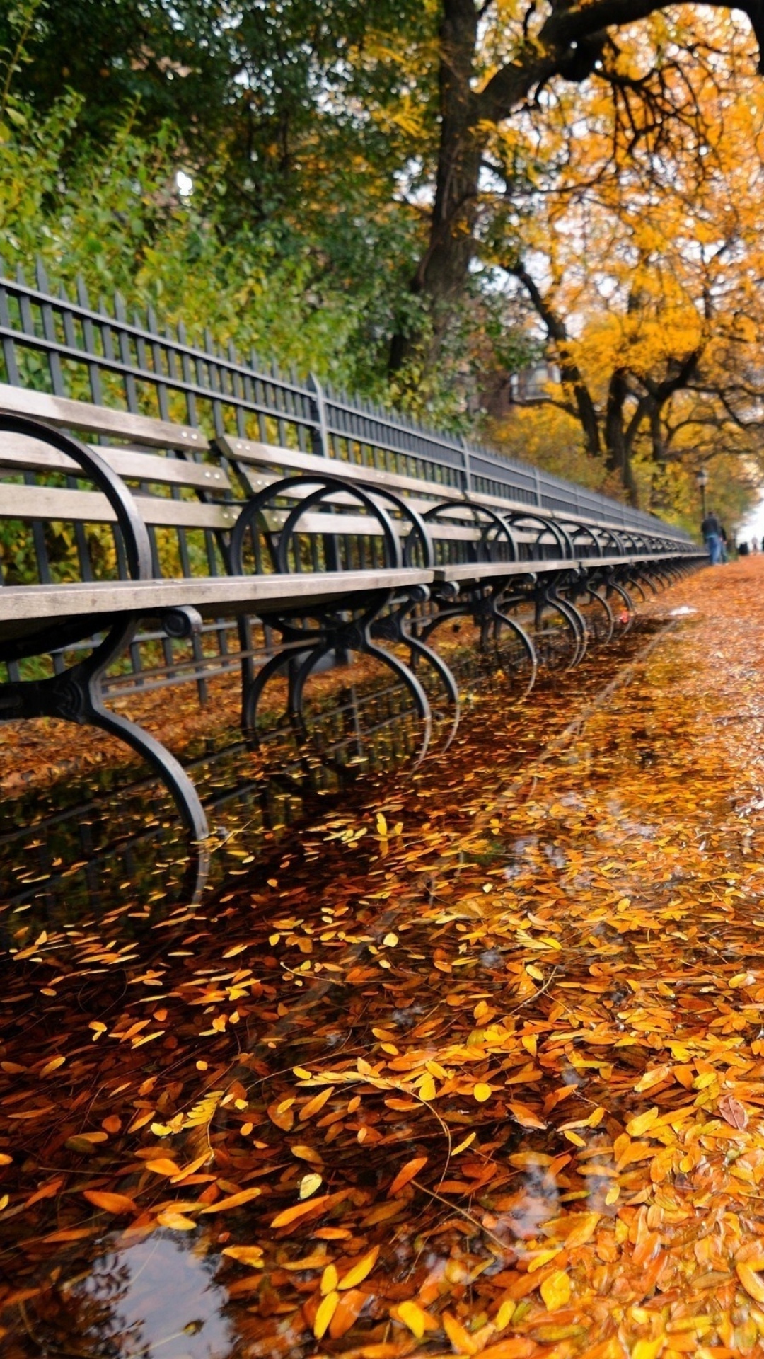 Fall Iphone Wallpaper 254590 - Autumn In New York Desktop , HD Wallpaper & Backgrounds