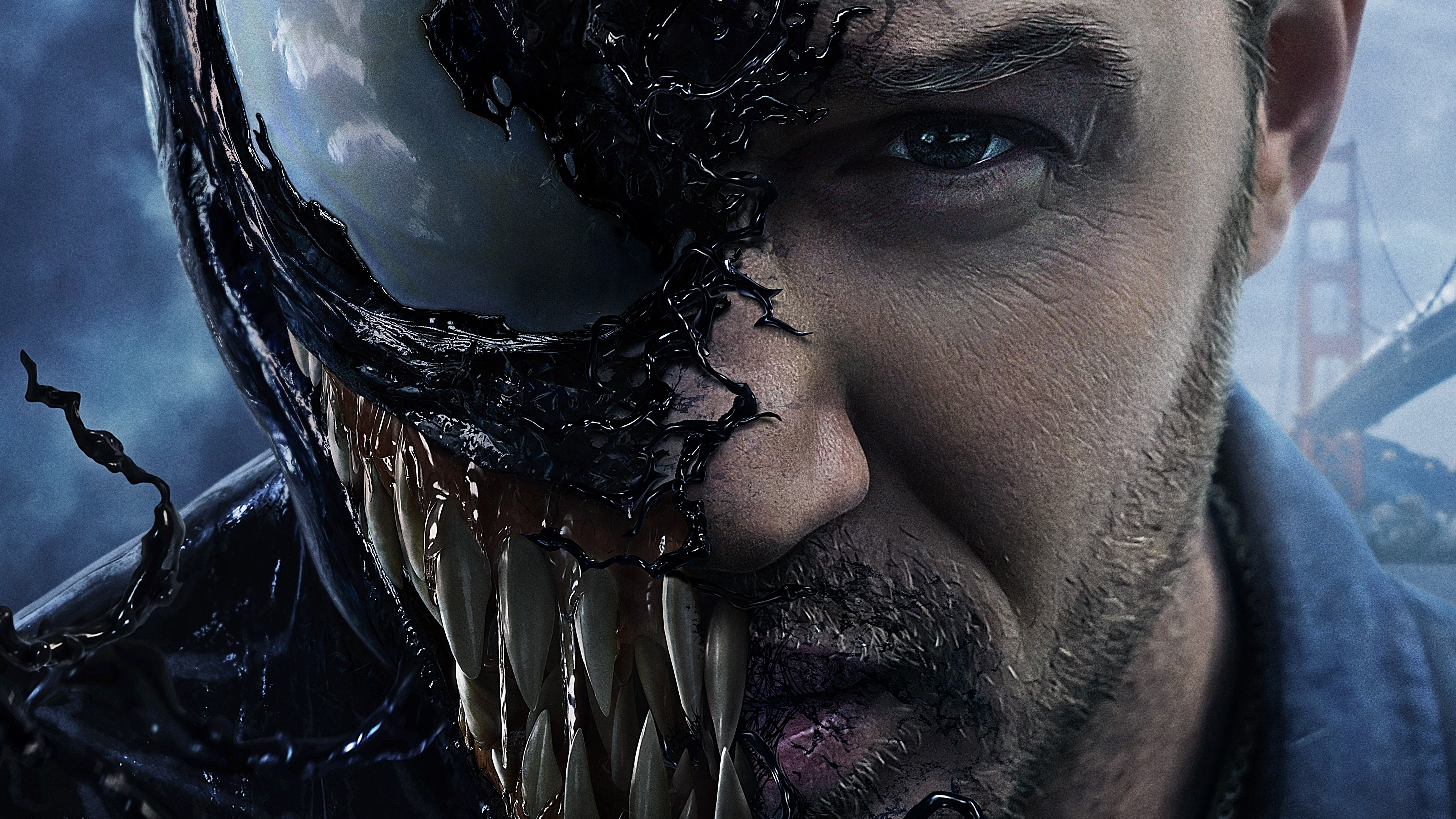 Venom Movie 5k , HD Wallpaper & Backgrounds
