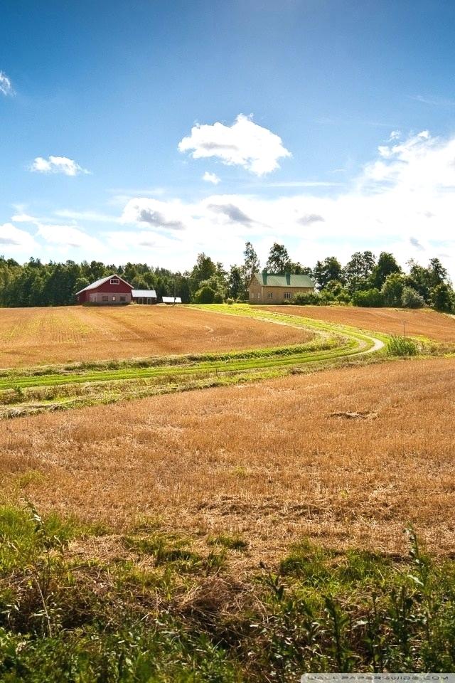 Farm Wallpaper Mobile Farm Boy Wallpaper Download Pole Derevnya