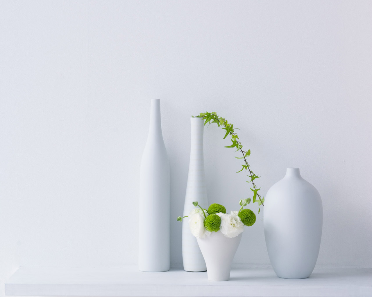 Four White Bottles Next To The White Wall, Plants Are - White Wall With Plants , HD Wallpaper & Backgrounds
