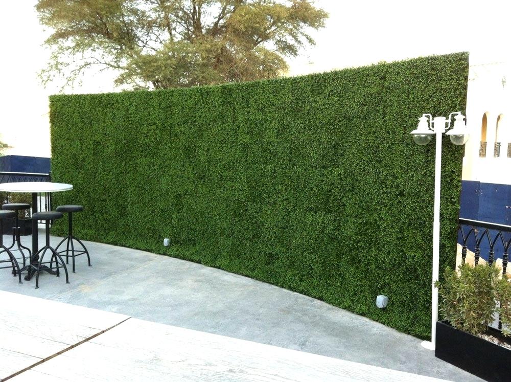 Fake Green Wall Melbourne Plastic Outdoor Boxwood Artificial - Hedge , HD Wallpaper & Backgrounds