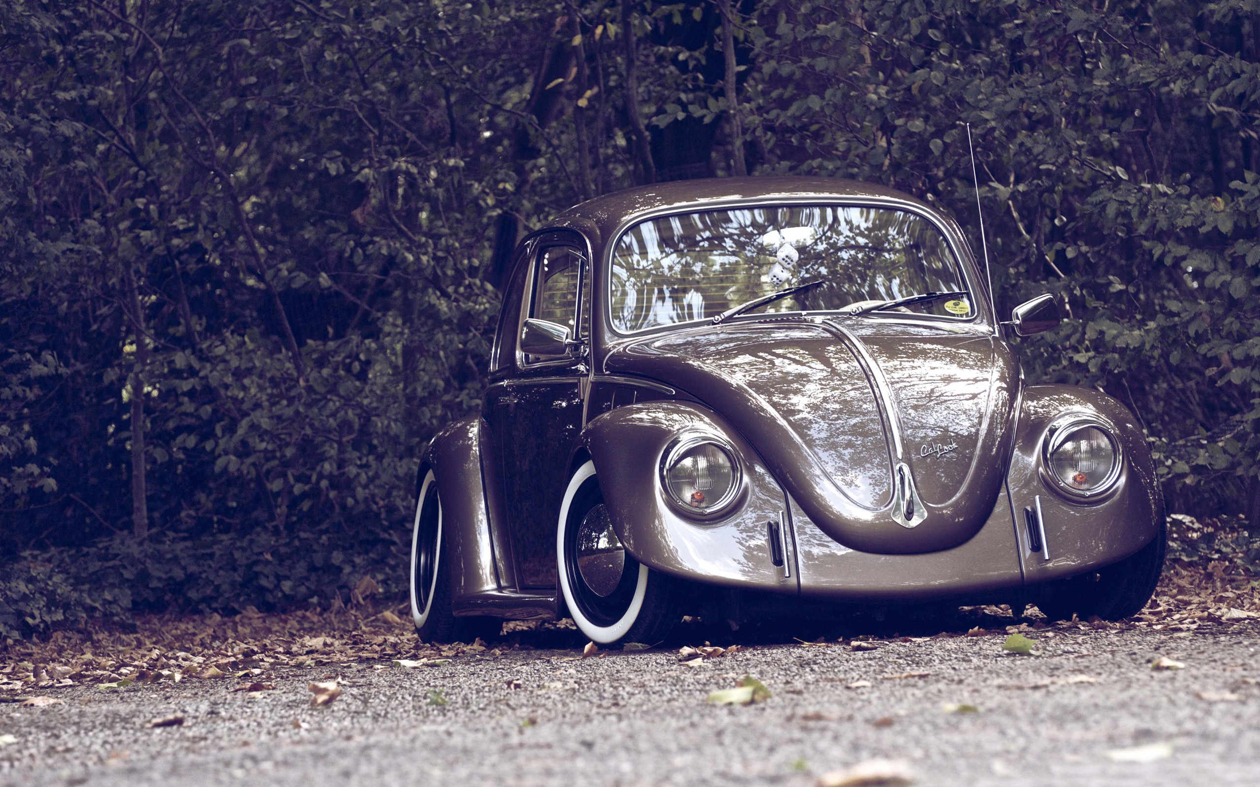 Wallpaper - Volkswagen Beetle , HD Wallpaper & Backgrounds