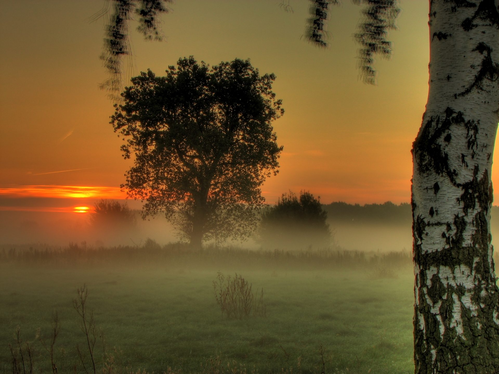 Morning Moment Wallpapers And Stock Photos - Morning Moment , HD Wallpaper & Backgrounds