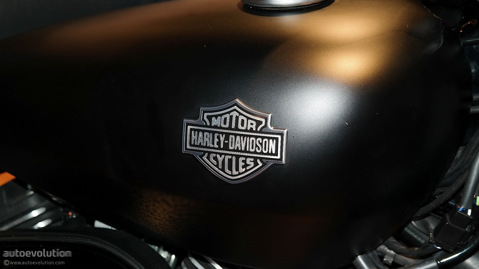 Harley Davidson Street 750 Gas Tank - Harley Davidson Gas Tank Logo , HD Wallpaper & Backgrounds
