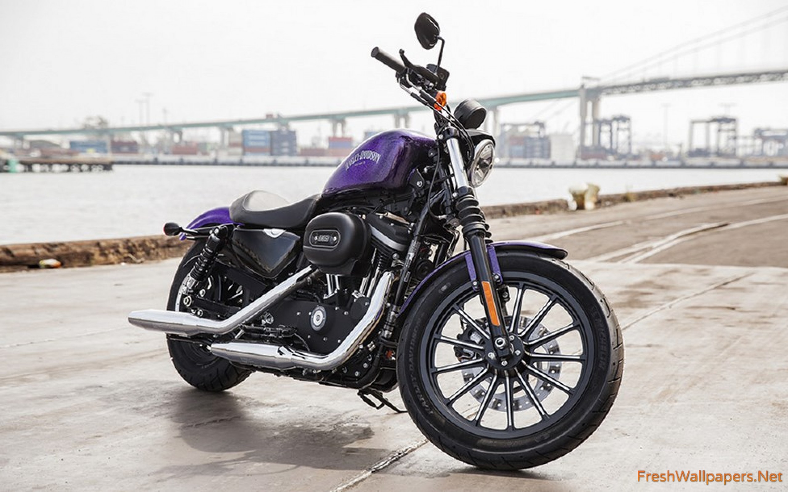 2015 Harley Davidson Iron 883 Wallpaper - Harley Davidson Sportster Hd , HD Wallpaper & Backgrounds