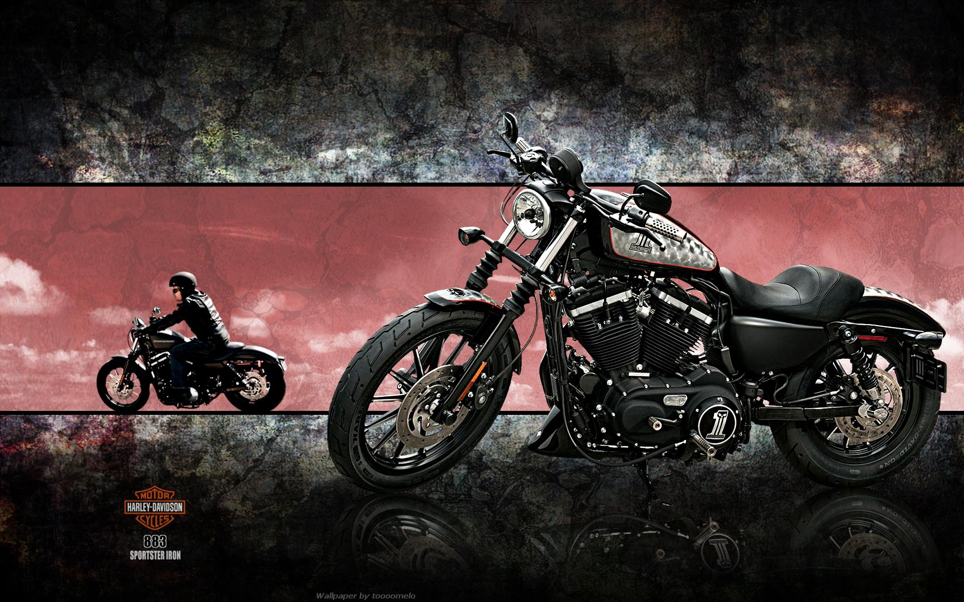 Harley Davidson Iron 883 Hd Wallpaper - Harley Davidson Wallpaper For I Phone , HD Wallpaper & Backgrounds