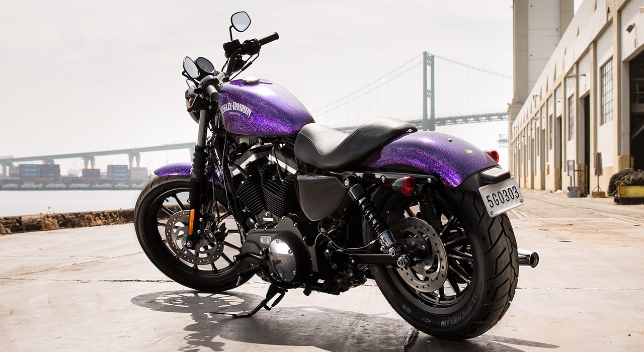Harley-davidson Iron 883 Hd Wallpaper - Harley Davidson Sportster Iron 883 Purple , HD Wallpaper & Backgrounds