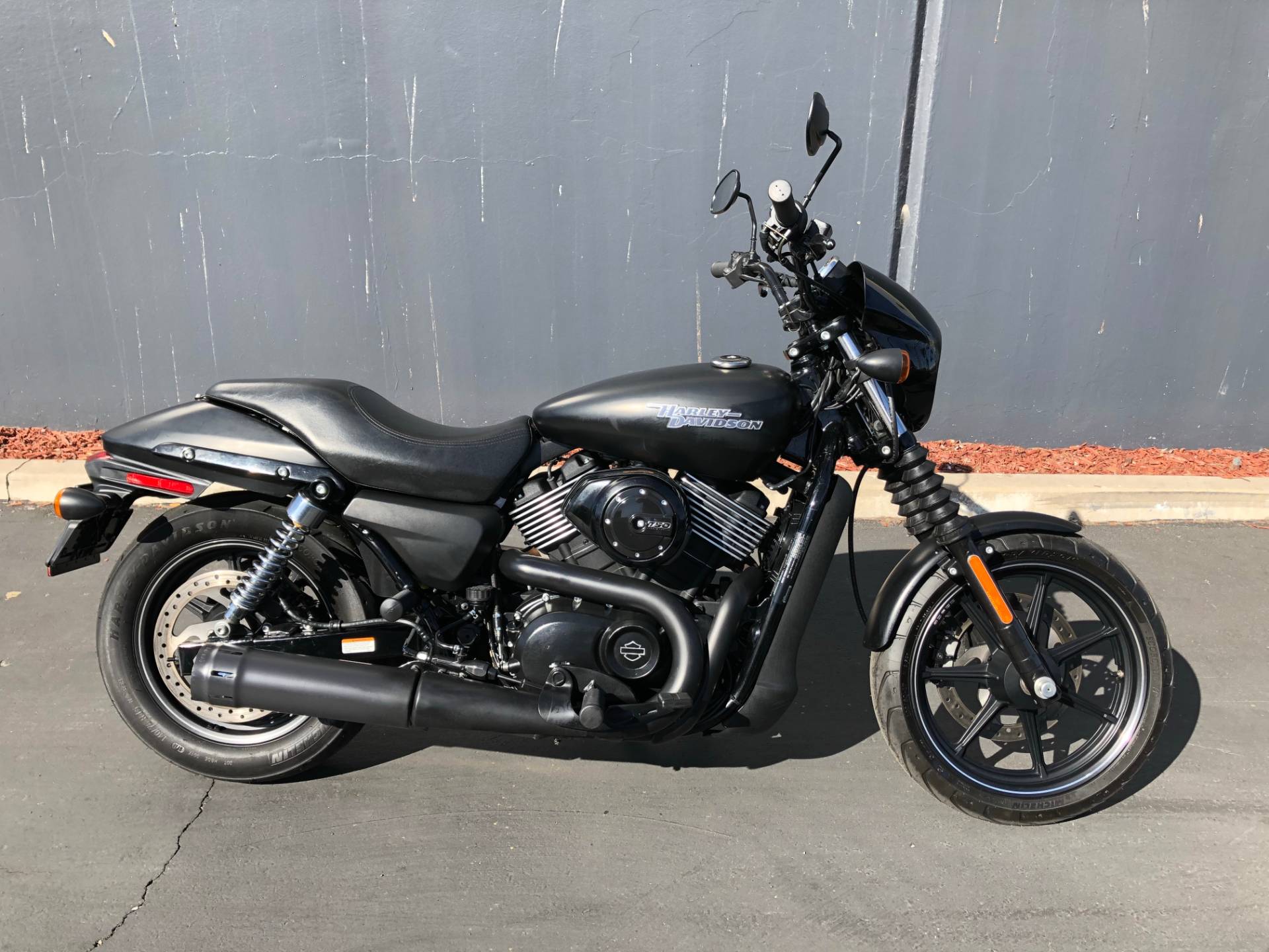 2017 Harley-davidson Street® 750 In Chula Vista, California - Custom Street 750 Harley , HD Wallpaper & Backgrounds