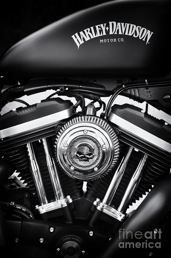 Harley Davidson Iphone Wallpaper - Harley Davidson Iron 883 Mobile , HD Wallpaper & Backgrounds
