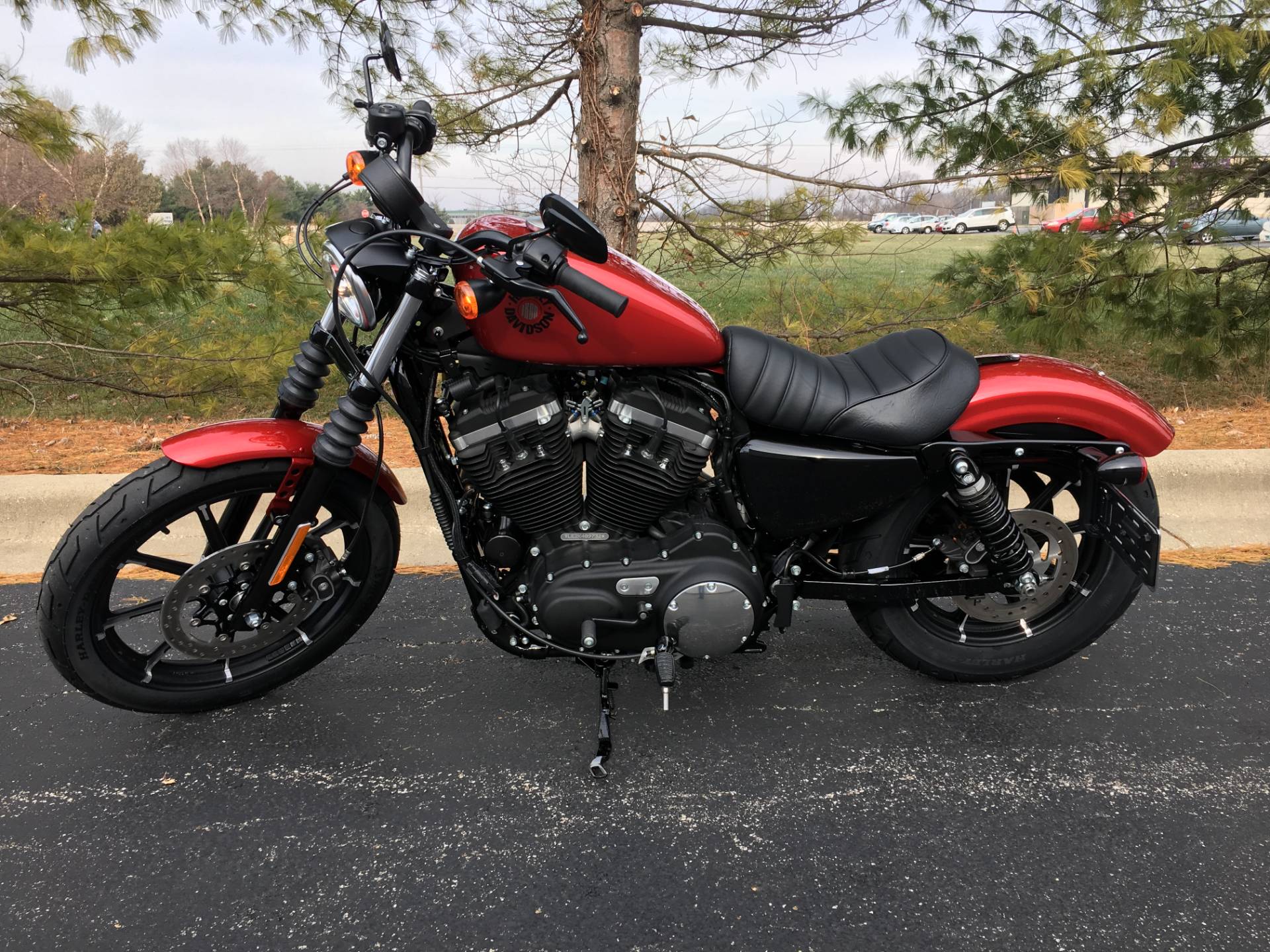 2019 Harley-davidson Iron 883 In Forsyth, Illinois - Harley Davidson 883 2019 Red , HD Wallpaper & Backgrounds