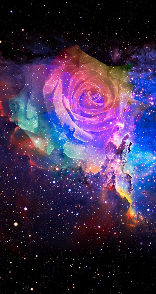 After The Night Rose, Here Are Some Of My Favourite - Best Wallpapers For Girls , HD Wallpaper & Backgrounds