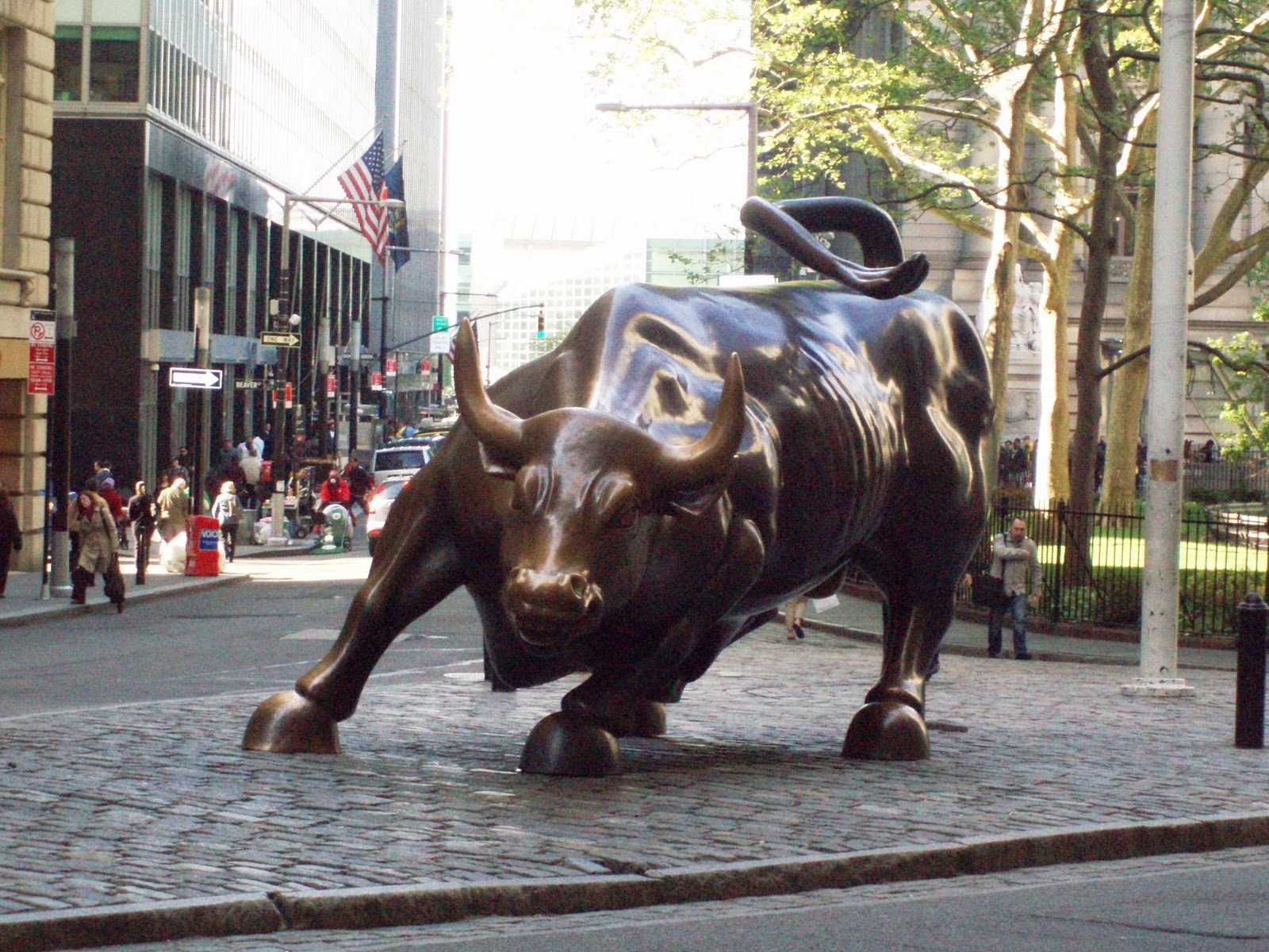 Charging Bull , HD Wallpaper & Backgrounds