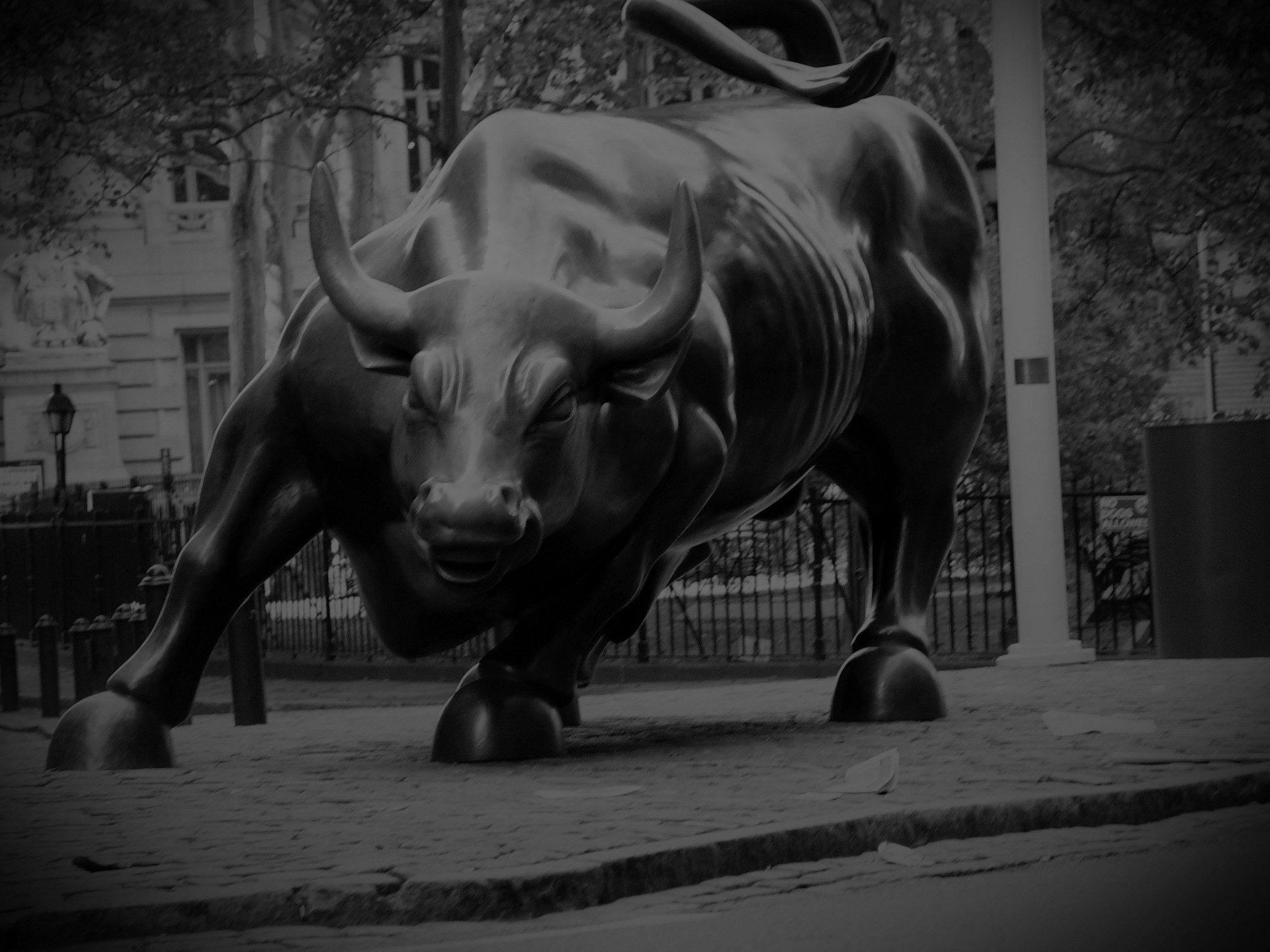 Forex Bull Wallpapers - Wall Street Bull Side , HD Wallpaper & Backgrounds