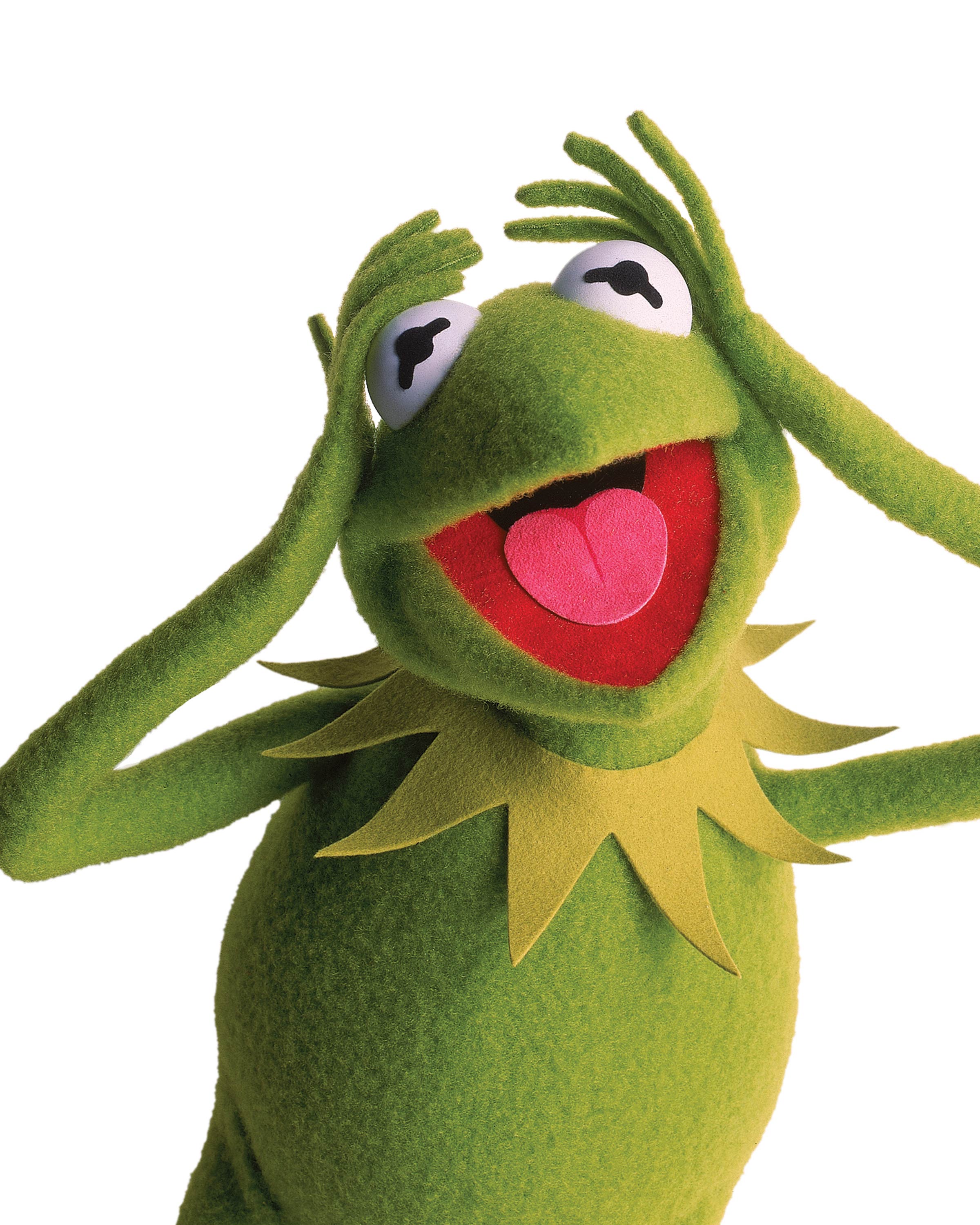Kermit The Frog From The Muppets Wallpaper - Kermit The Frog , HD Wallpaper & Backgrounds