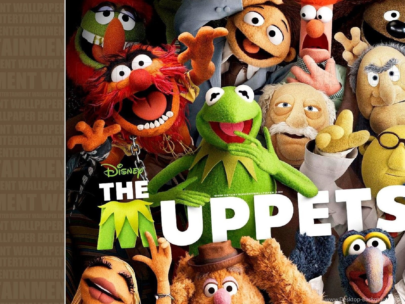 Fullscreen - Muppets 2011 , HD Wallpaper & Backgrounds