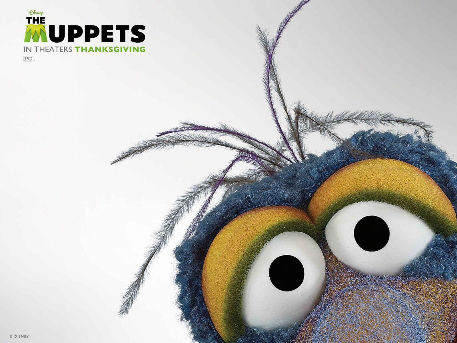 The Muppets Wallpaper Hd - Gonzo Muppets (#1306956) - HD Wallpaper &  Backgrounds Download