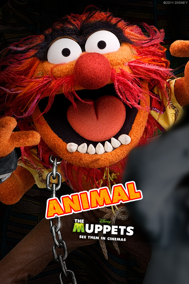 Muppets Animal Wallpaper The Gallery For > The Muppets - Animal Muppets , HD Wallpaper & Backgrounds