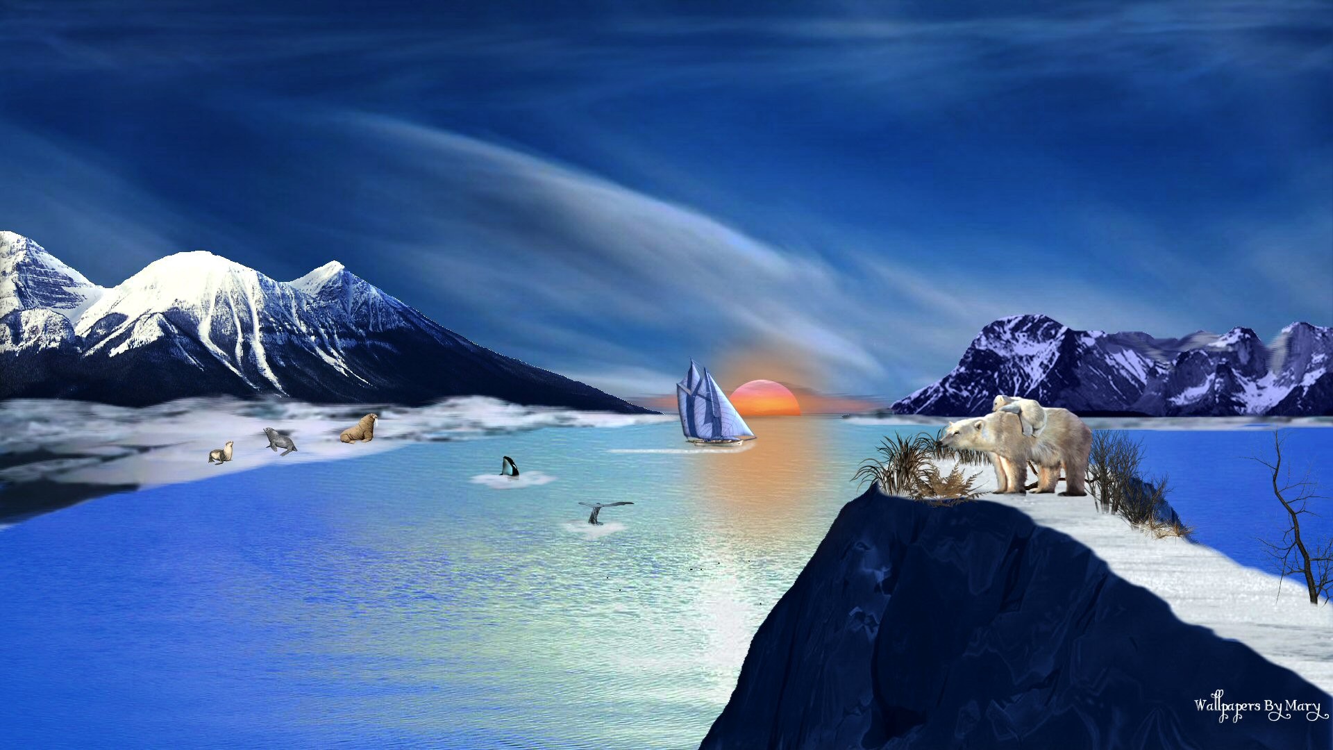 A Beautiful Picture Of Furious Walrus Wallpaper Downloaded - Beautiful Arctic Region Hd , HD Wallpaper & Backgrounds