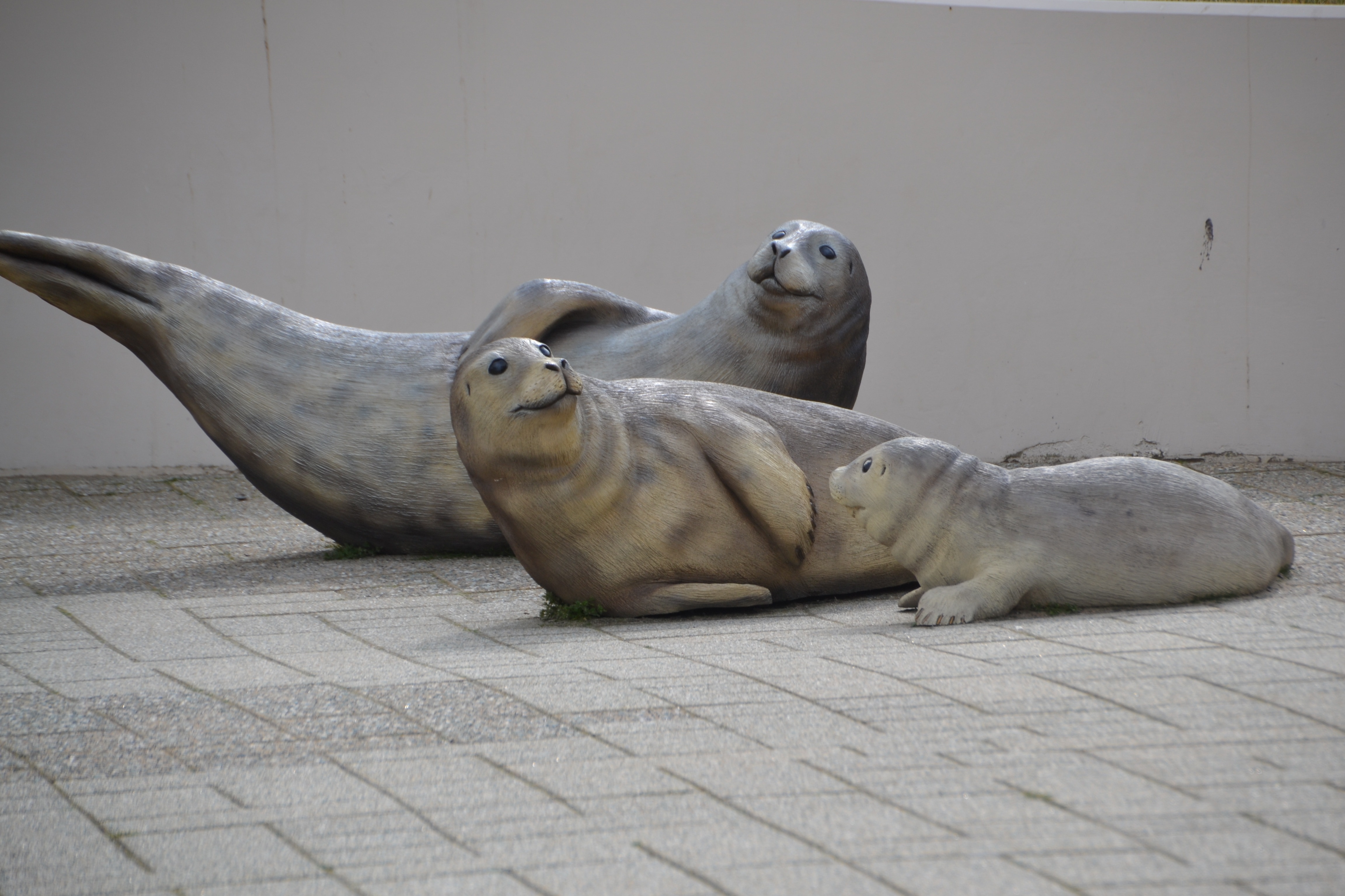 Set Of Three Family Of Walrus Figurines - Harbor Seal , HD Wallpaper & Backgrounds