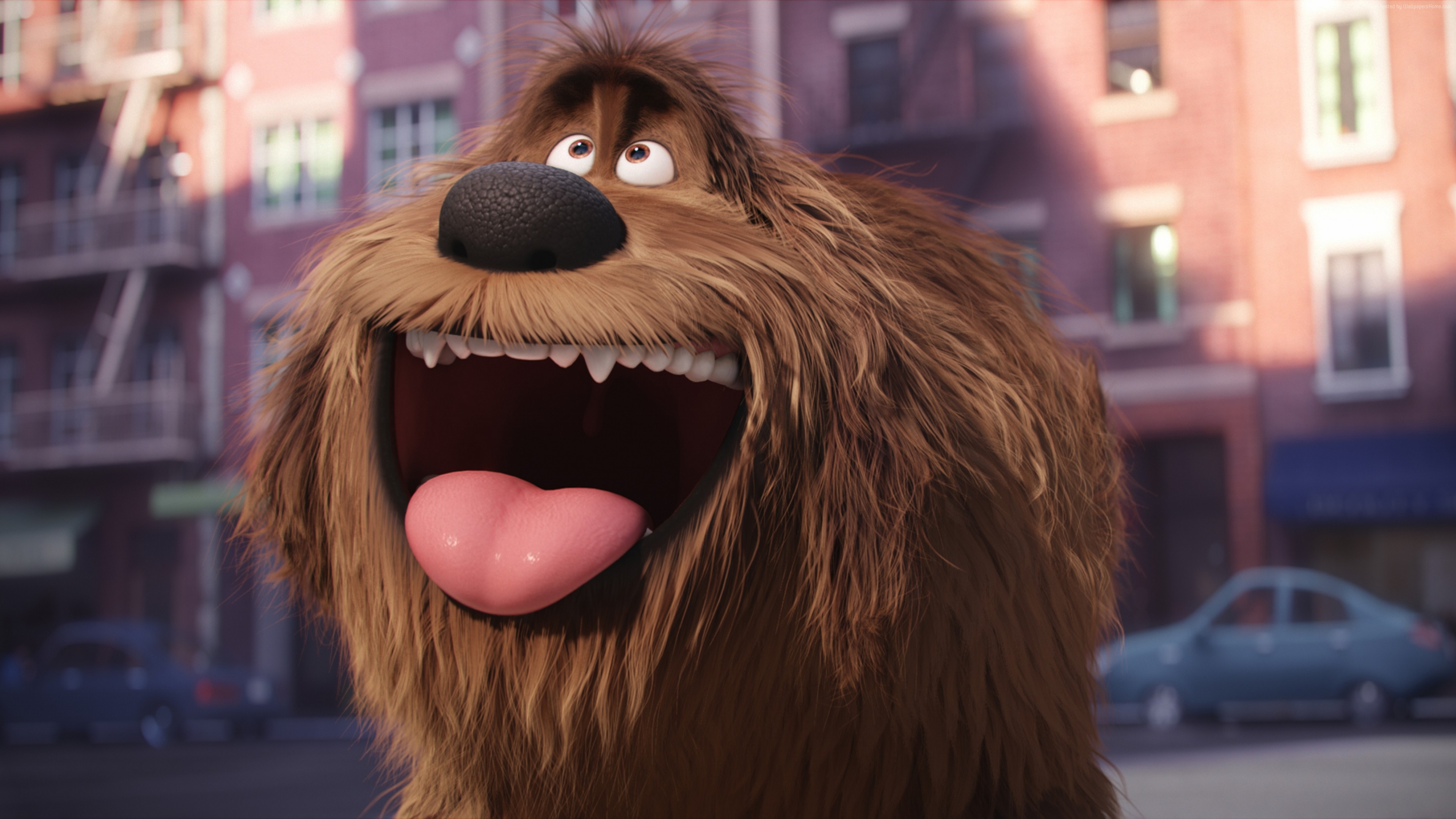 #the Secret Life Of Pets, #movies, #animated Movies, - Big Dog From Life Of Pets , HD Wallpaper & Backgrounds