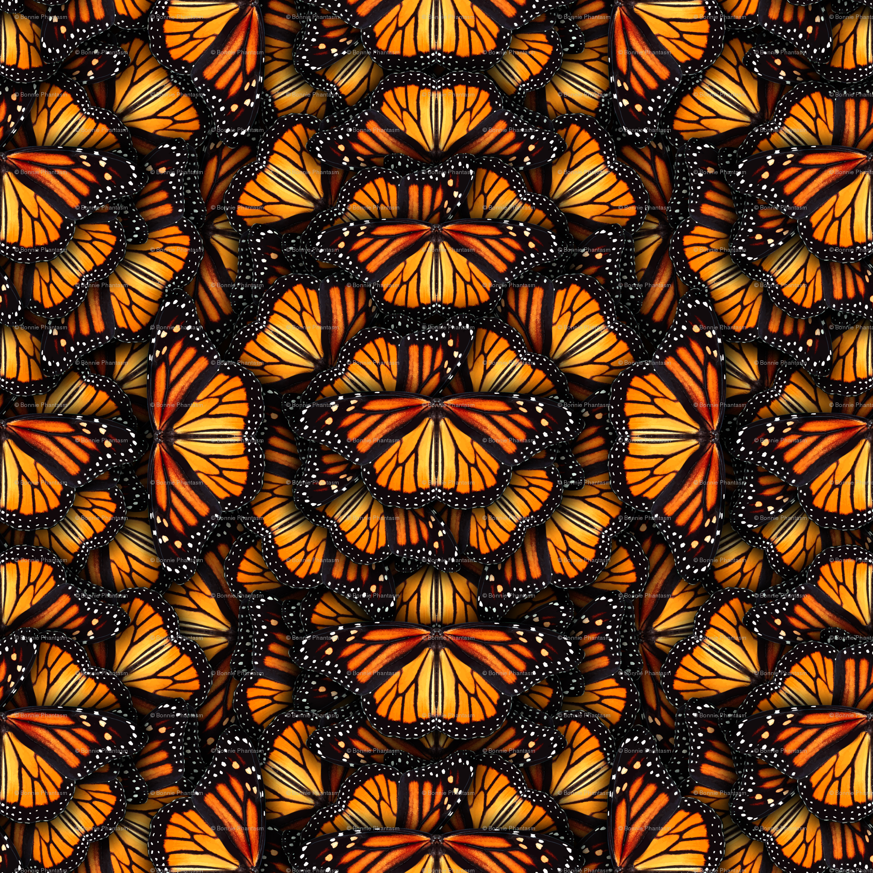 Heaps Of Orange Monarch Butterflies Wallpaper - Monarch Butterfly , HD Wallpaper & Backgrounds