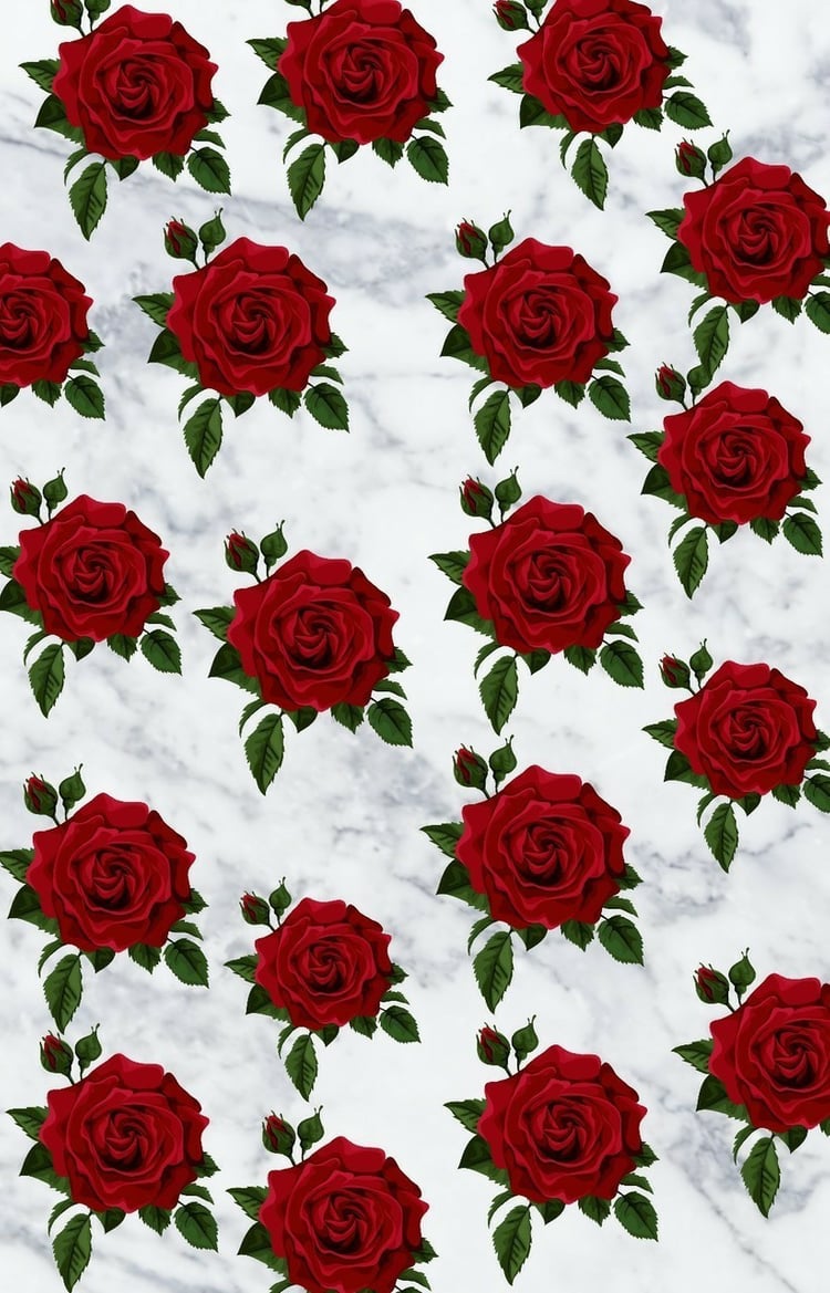 Home Screen Red Rose , HD Wallpaper & Backgrounds