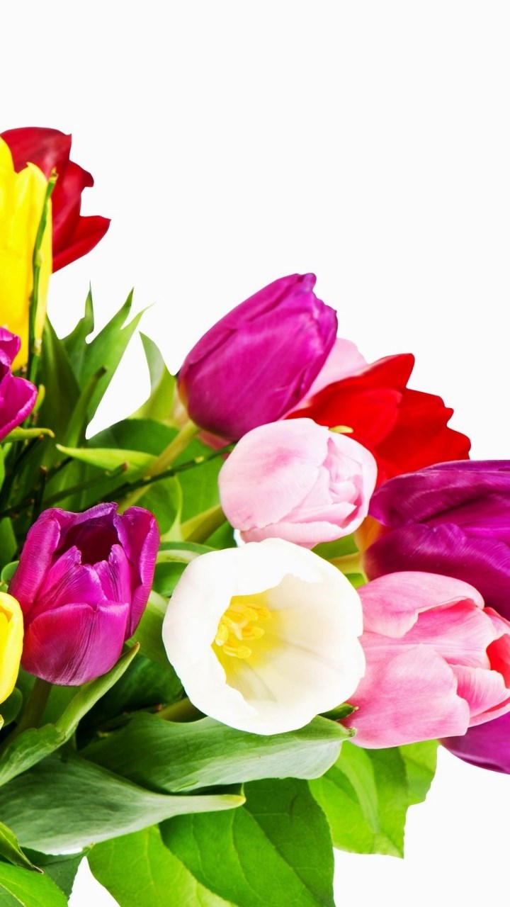 Desktop Background Flowers For Mobile , HD Wallpaper & Backgrounds