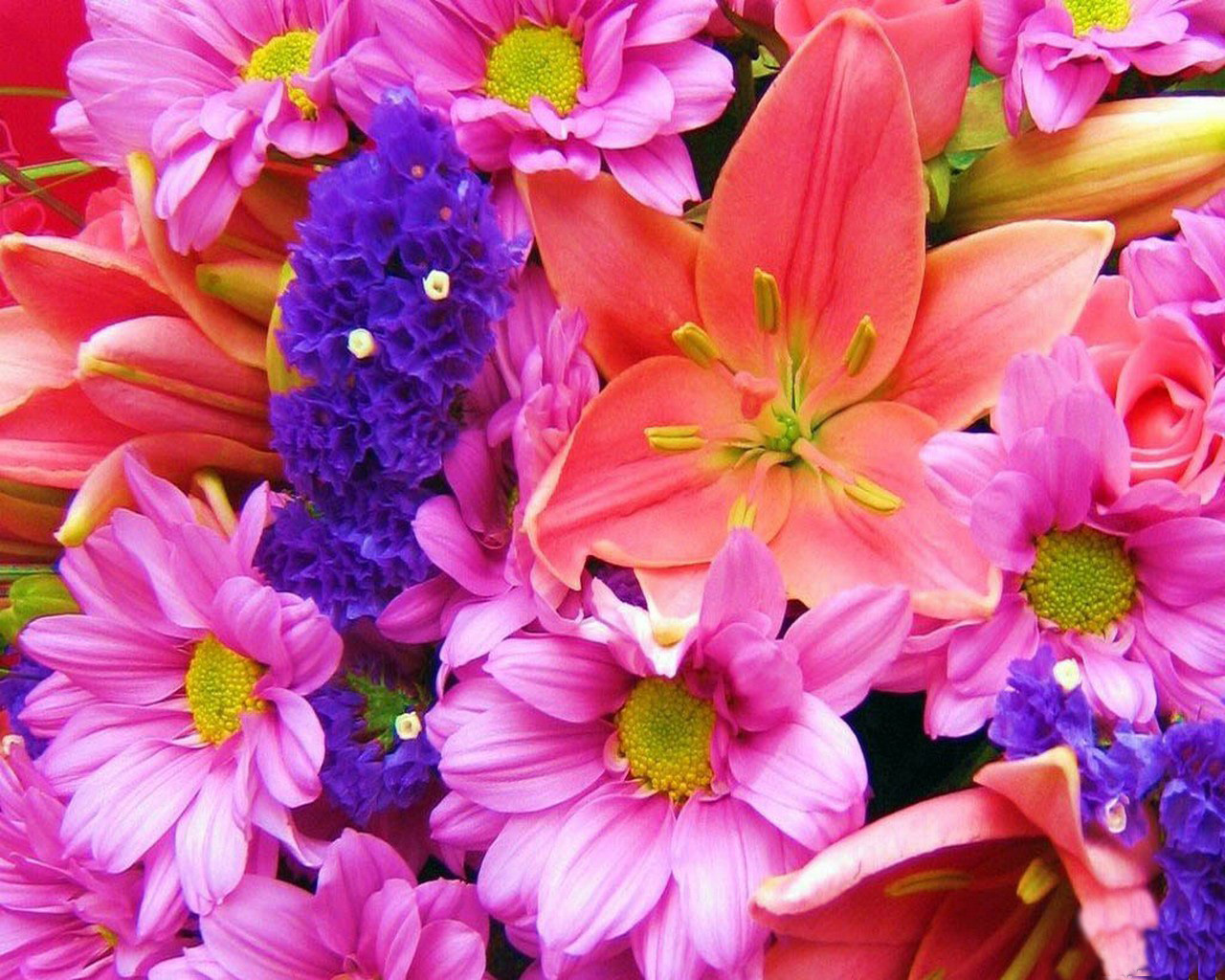Bouquet Of Colorful Flowers Wallpaper - Happy Mothers Day Erica , HD Wallpaper & Backgrounds
