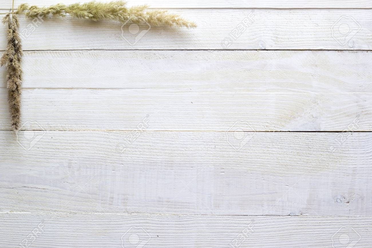 Dry Flowers On A White Wooden Background Wallpaper - Wood White Background Hd , HD Wallpaper & Backgrounds