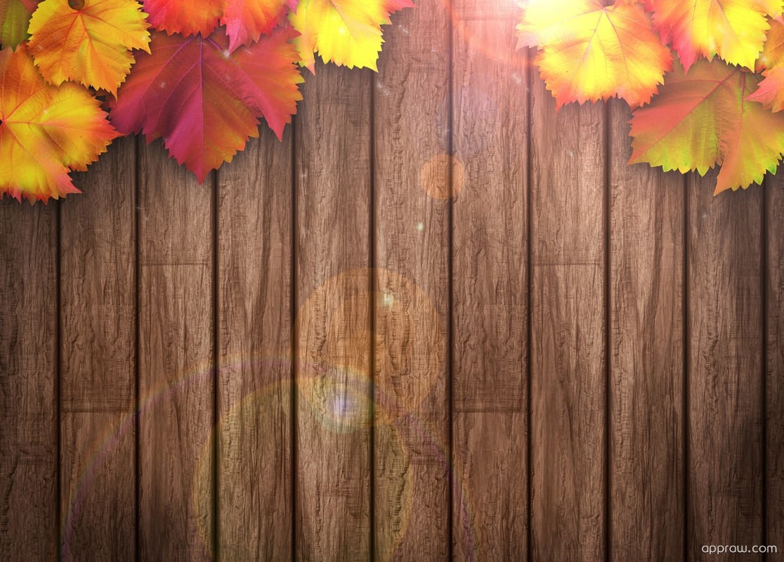 Autumn Leaves On Wooden Background - Fall Leaves Wood Background , HD Wallpaper & Backgrounds