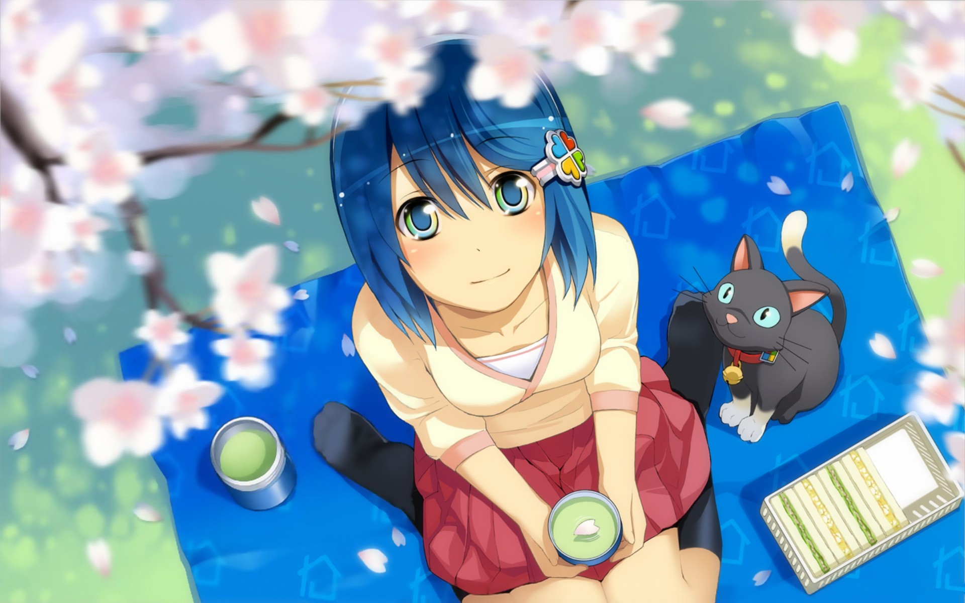 #madobe Nanami , #blue Hair, #cat, #anime Girls, #anime - Madobe Nanami , HD Wallpaper & Backgrounds