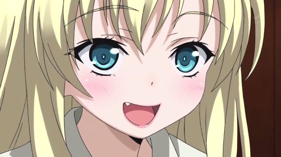 Sena Kashiwazaki - Close Up Anime Face , HD Wallpaper & Backgrounds