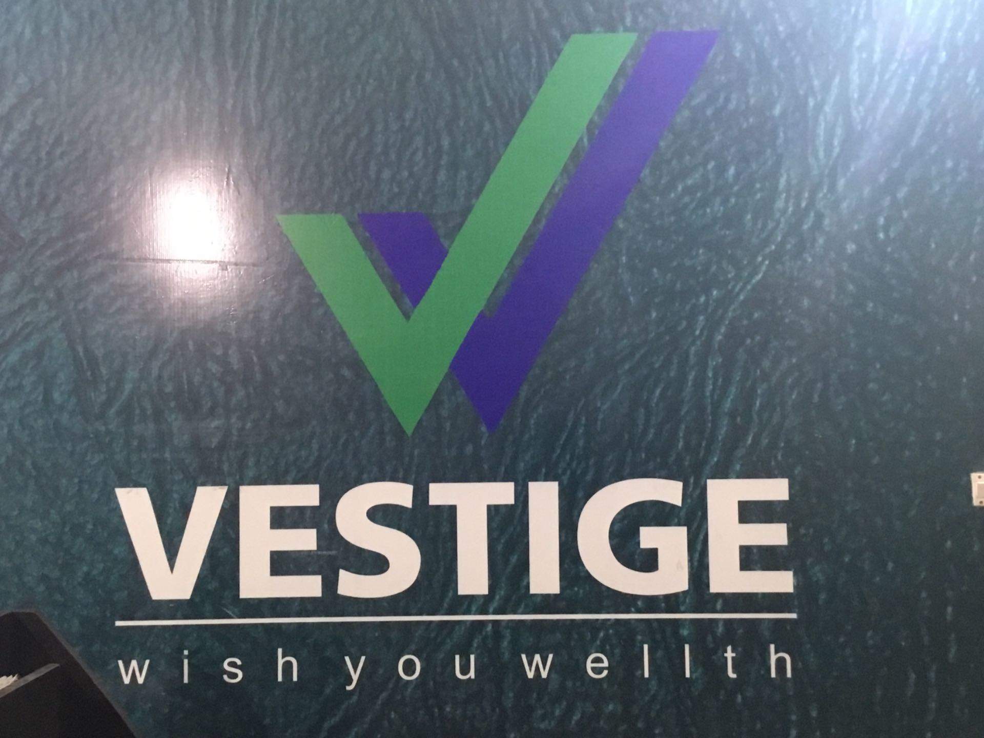 Vestige Marketing Pvt Ltd Photos, Sector 65, Chandigarh - Social Studies Banner , HD Wallpaper & Backgrounds