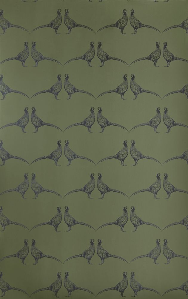 Modern Pheasant , HD Wallpaper & Backgrounds
