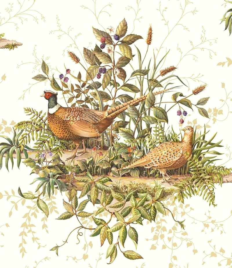 Pheasant Wallpaper Barneby Gates - Pheasant , HD Wallpaper & Backgrounds
