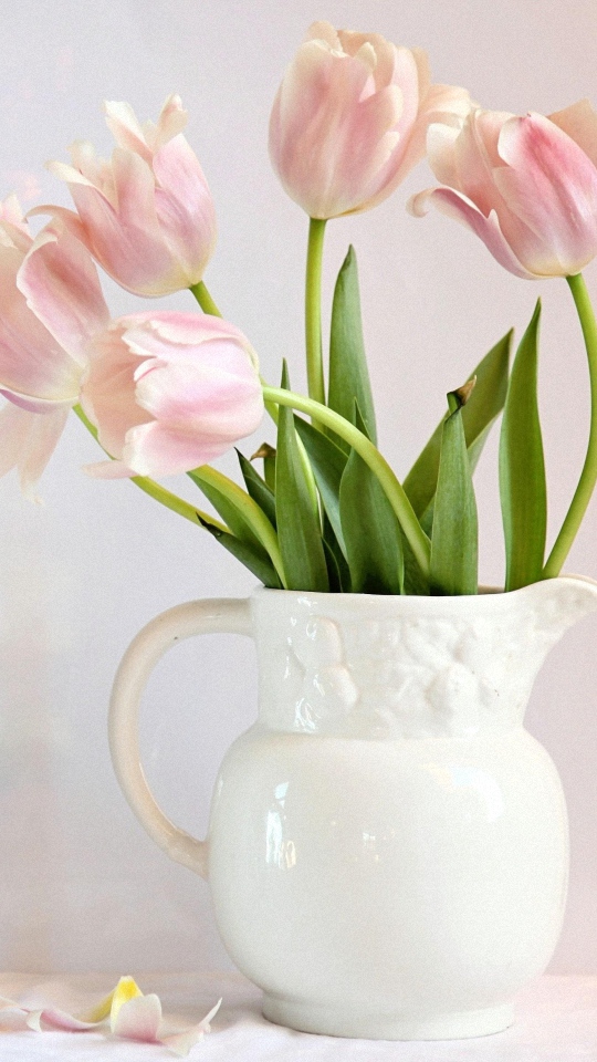 Bottle Tulip Flower Wallpapers For Htc Desire - Tulips Wallpaper For Mobile , HD Wallpaper & Backgrounds