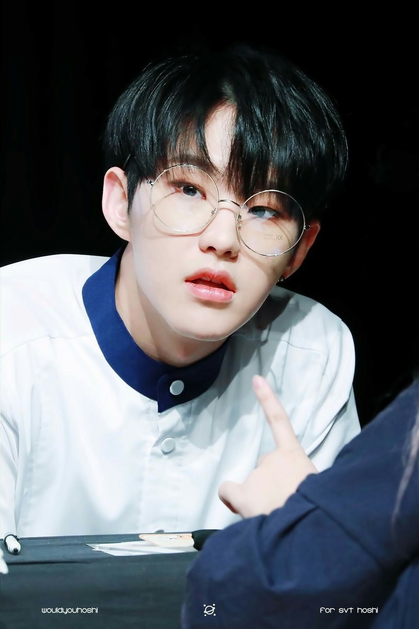 140 Images About Hoshi On We Heart It - Hoshi Seventeen , HD Wallpaper & Backgrounds