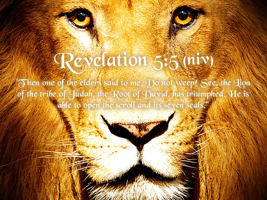 5 Lion Of The Tribe Of Judah - Jesus As A Lion , HD Wallpaper & Backgrounds