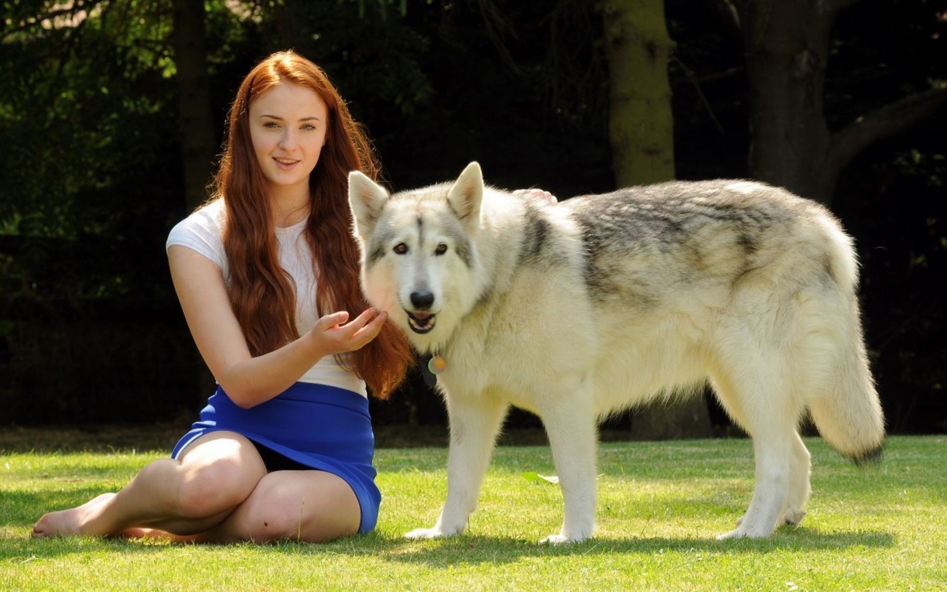 Sophie Turner Direwolf Wolves Wallpaper Game Of Thrones