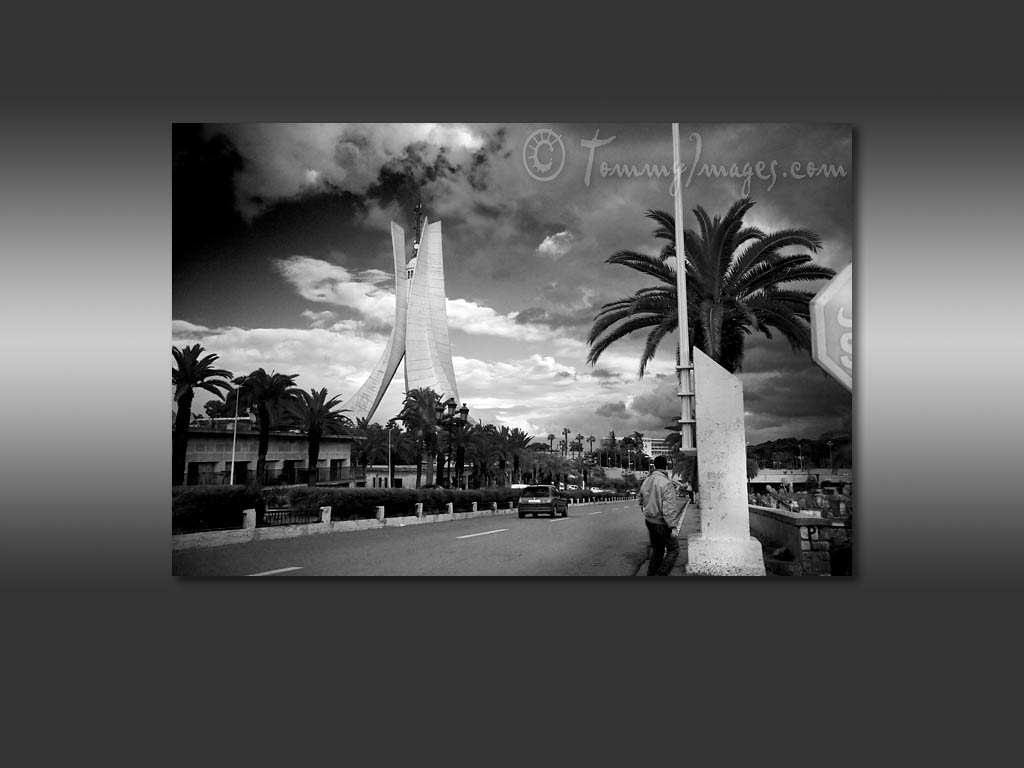 Click This Photo To Go Back To The Main Gallery Page - Algerie Wallpaper Black & White , HD Wallpaper & Backgrounds