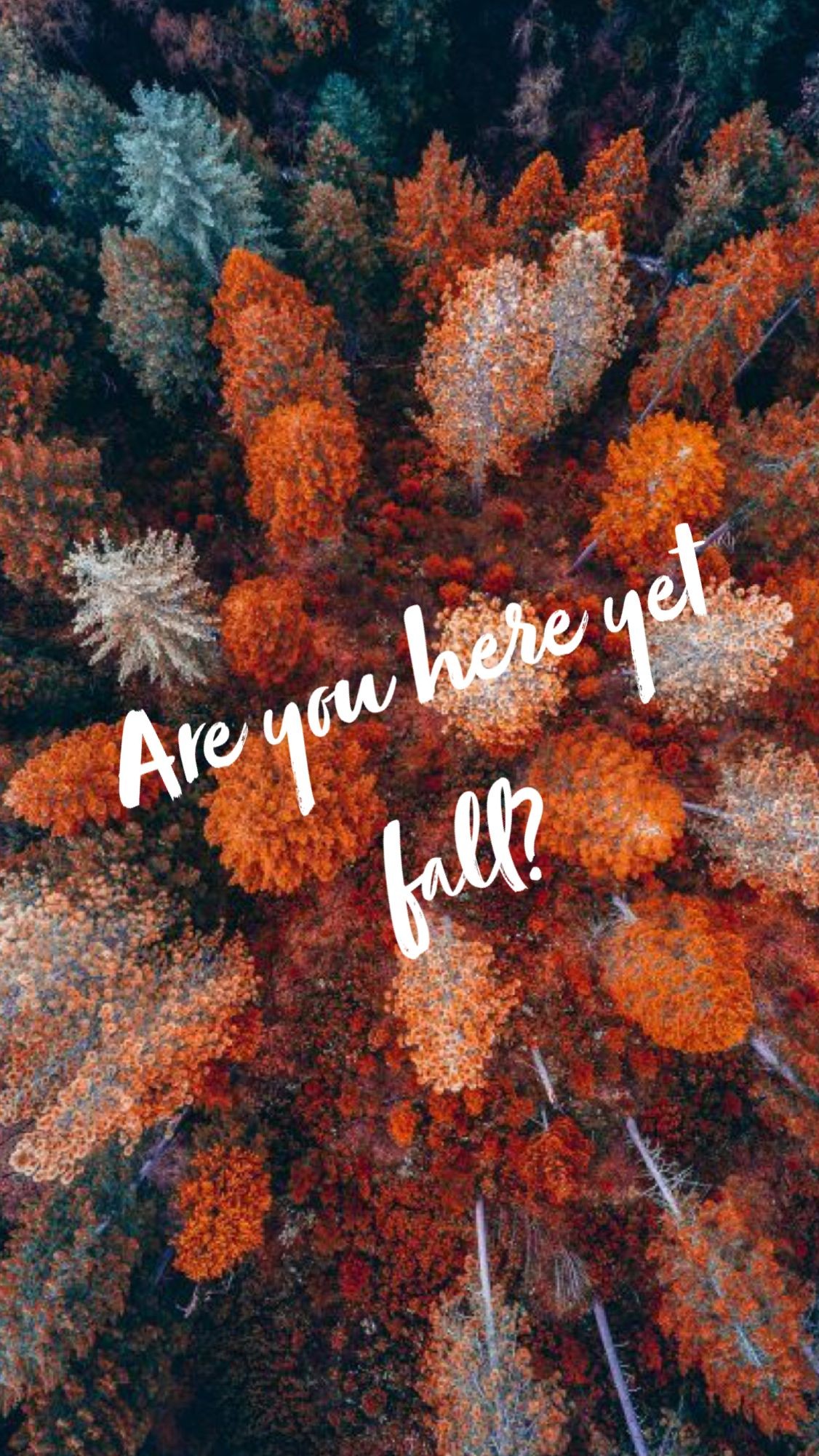 Autumn I Love You Wallpaper Best Of Are You Here Yet - Birds Eye View Aesthetic , HD Wallpaper & Backgrounds